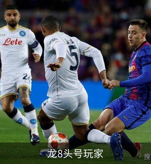 龙8头号玩家简介